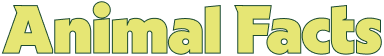 Animal Facts